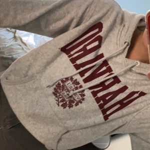 Harvard Hoodie  - Grå hoodie med Harvard tryck från H&M. Storlek S.
