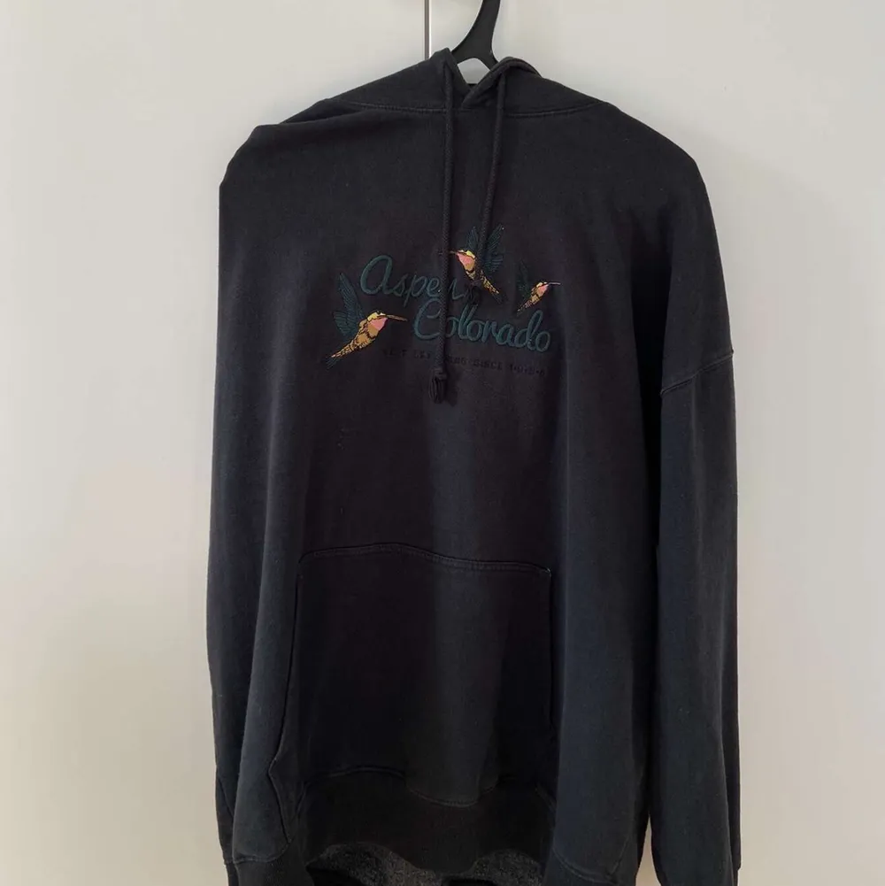 Oversized hoodie från Brandy Melville, knappt använd och går inte att köpa längre i butik. (original pris 370kr)                                              frakt:50kr. Tröjor & Koftor.