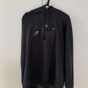 Oversized hoodie från Brandy Melville, knappt använd och går inte att köpa längre i butik. (original pris 370kr)                                              frakt:50kr