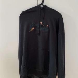 Brandy Melville Aspen Colorado Hoodie - Oversized hoodie från Brandy Melville, knappt använd och går inte att köpa längre i butik. (original pris 370kr)                                              frakt:50kr