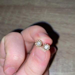 Örhänge  - Guld. + frakt 🚚 