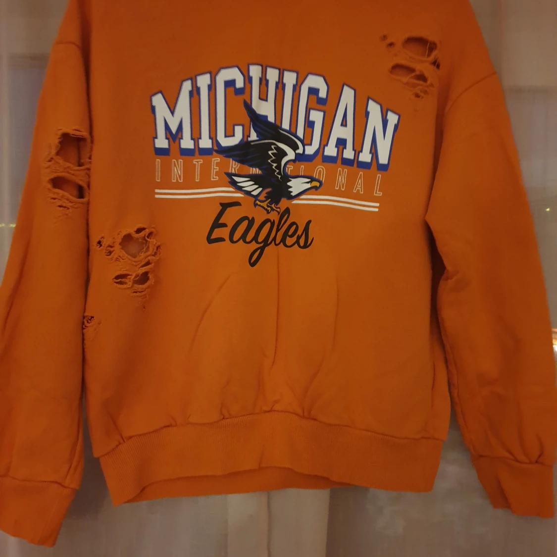 Michigan tröja (Ginatricot)