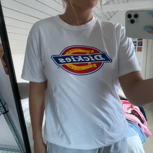 Dickies T-shirt - Storlek L använt väldigt lite, väldigt bra skick! Köpt på Urban outfitters