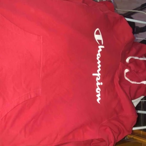  - Champion hoodie