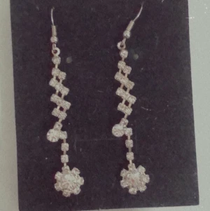 Örhängen  - Nya örhängen endast provat 