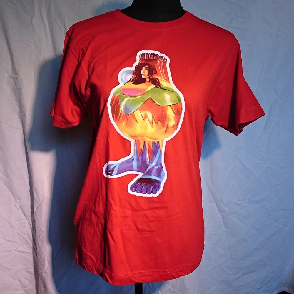 Merch med Björk, jättefint skick! . T-shirts.