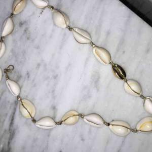 Puka Shell necklace köpt för 150kr~💞