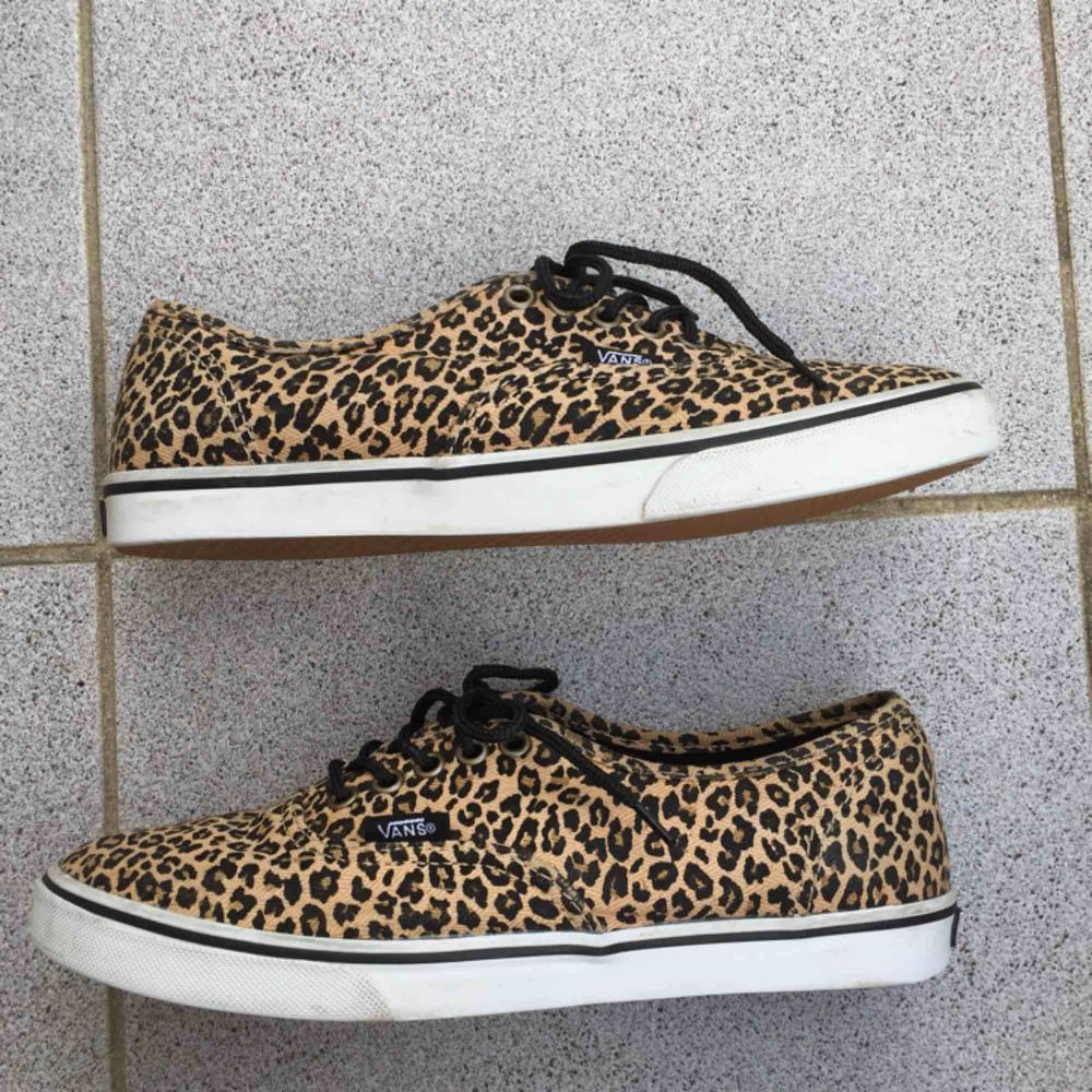 Nästan helt nya leopard Vans skor | Plick Second Hand