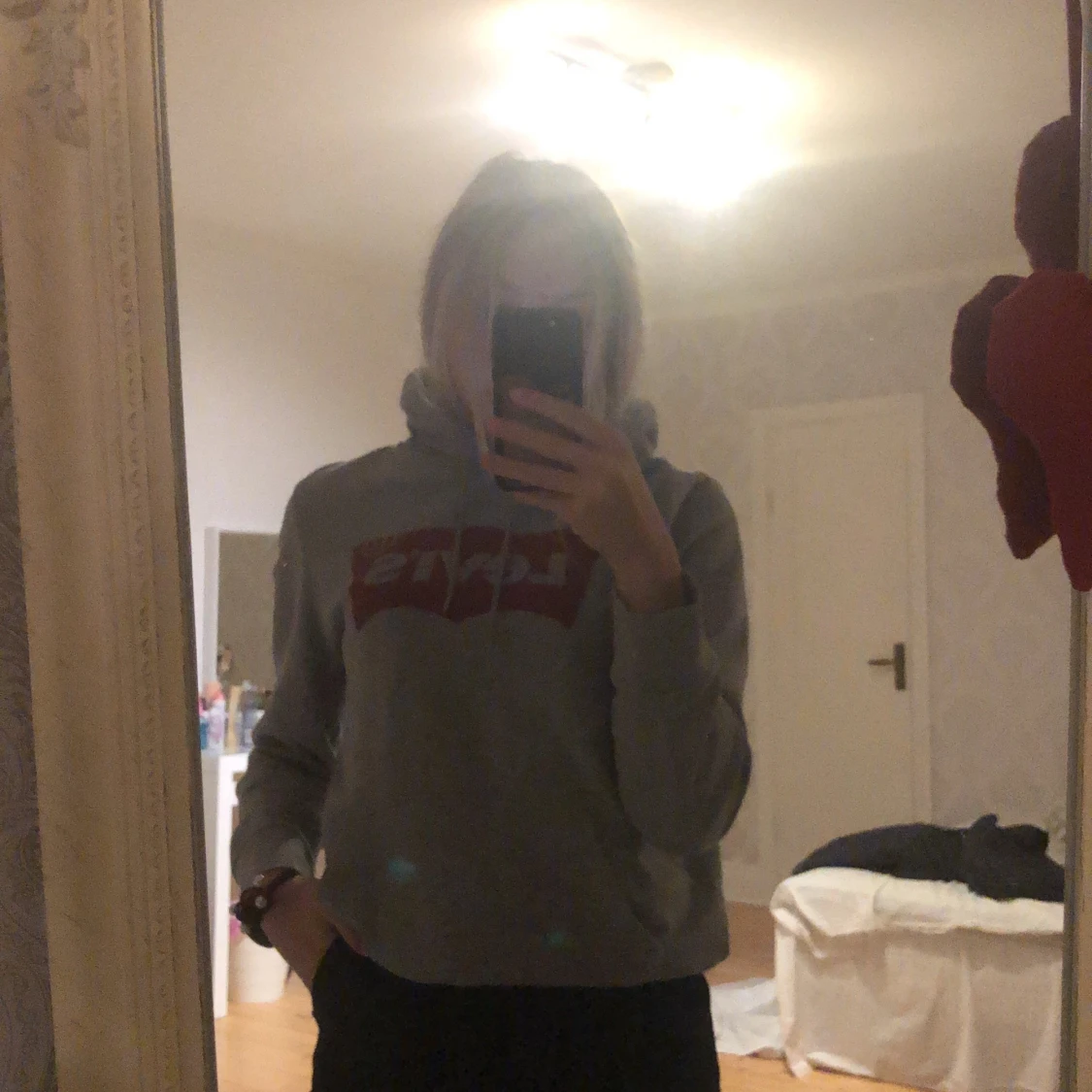 Levis hoodie