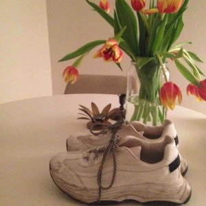  - Snygga skor från river Island. Lite smutsiga men det kan man tvätta bort. 