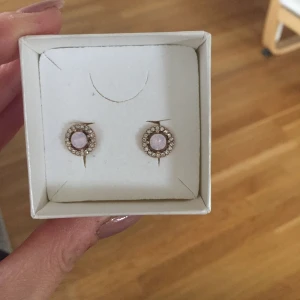  - Lily and rose små fina Miranda örhängen 