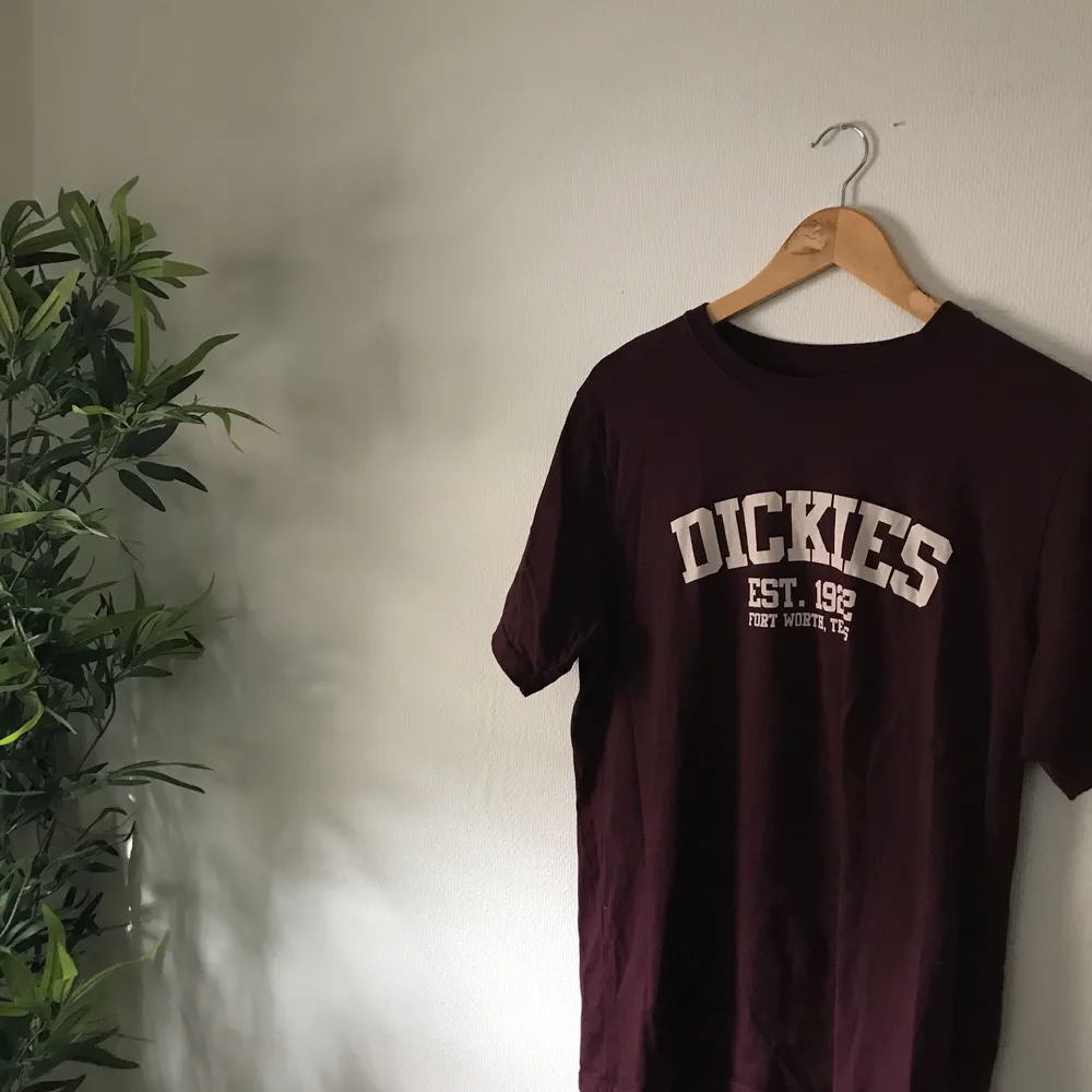 Snygg T-shirt från Dickies köpt på carlings, använd 1 gång 🌹frakt ingår i priset ✨. T-shirts.
