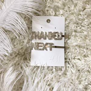 Silvriga hårspännen från H&M med texten ”thanku next”🤍 Endast använda en gång.