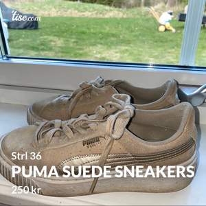 Snygga och bekväma sneakers från Puma i storlek 36. Väl använda men inget som syns tydligt förutom på sulorna. (Färgen syns lite tydligare på bild 2). Säljs pga för stora för mig. Frakt tillkommer (köparen står för frakten)☺️