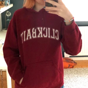 Hoodie, clickbait - Clicbaithoodie av David Dobrik. Bra skick men tyget är inte så mjukt. Köptes för ca 3 år sedan. 