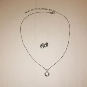 Ett sett med örhängen och halsband - Bara använt en gång! Kostade 200kr från början! 
