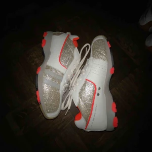  - Sällsynta Diesel psyke skor i glitter storlek 41. Skit coola skor som säljs för att jag har för stora fötter för dom:’(. Nästintill helt nya och helt o använda. Öppen till frågor och bud!