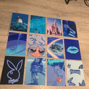 Vägg bilder - Supersnygga bilder man kan ha på väggen som dekoration 💙 bilderna är glansiga och 11x15 cm🦋 man kan välja vilka bilder man vill ha, 10krst + frakt