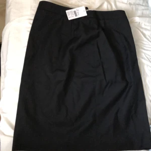 Filippa K kjol - Kjolen är oanvänd och i nyskick. Originalpris 1300 kr. Hög i midjan till knäna, sitter åt hela vägen men inte för tajt heller. Jag har haft den liggandes i garderoben och känner att kjolar är ej min grej så är redo att sälja den. Frakt ingår