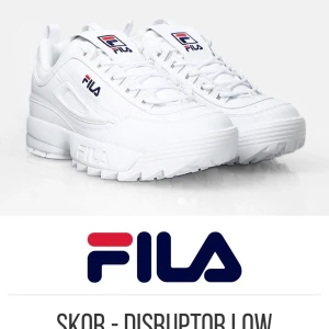 Fila, disturber low  - Helt oanvända skor, liten skada på kartongen. Men annars inte rörda.