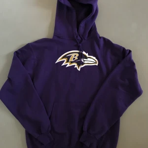 Vintage ”raven” Hoodie - Vintage hoodie utan några defekter eller liknande. Storlek S och lila. Öppen för bud