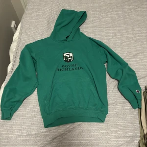 Vintage champion hoodie - Vintage champion hoodie  Size s  Fint skick 