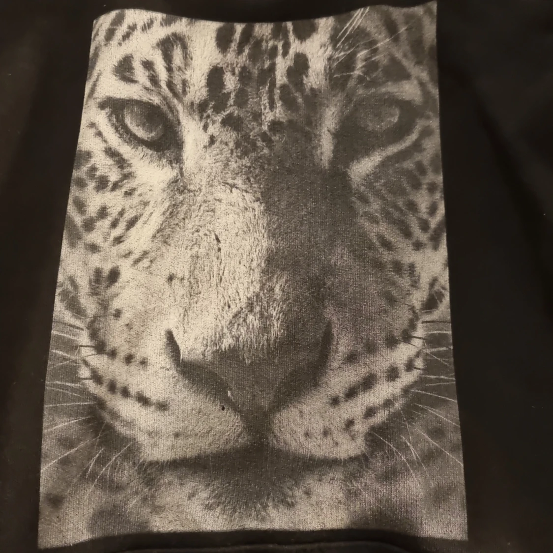 The cool Elephant - 91