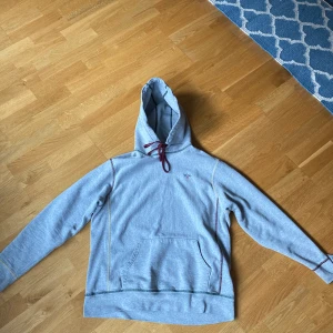 Noah nyc Hoodie  - Fin grå Noah hoodie med sömmar i olika färger. Väldigt försiktigt andvänd har dock två små intvättade fläckar som inte syns om man inte kollar väldigt nära i upplyst miljö. 
