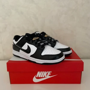 Nike dunk Low world champions  - Helt nya dunks med kvitto från Nike. Storlek 42,5