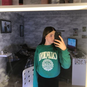 Grön fin tröja  - Grön finns tröja sälj pga  har för mycket kläder  pris kan diskuteras kan även mötas upp frakten är gratis om man väljer att betala lite extra pengar för plagget 😋