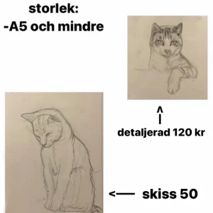 a5 husdjursporträtt! - ritar husdjur i blyerts! skicka bild på ditt djur så ritar jag :) finns två stilar, skiss eller mer detaljerad. ritar på tjockare papper i storlek A5 som passar i ram, eller mindre om så önskas☀️ mycket uppskattade som presenter till nära o kära! frakt 13