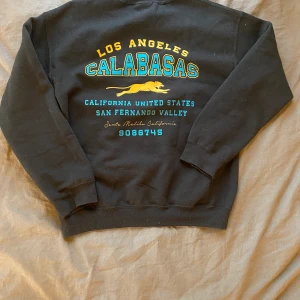 Vintage sweatshirt - En oversized sweatshirt med ett tryck på ryggen! Passar xs-m beroende på hur man vill att den ska sitta. Köpare står för frakt❣️