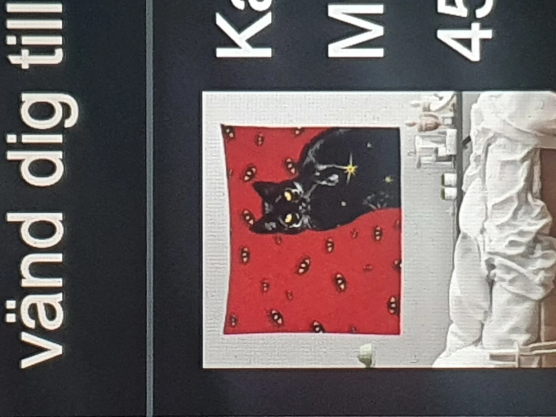 Black cat banner - 90