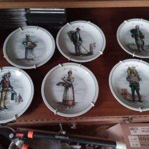 Samlar tallrikar 6 stycken . - Fina samlar tallrikar 6 stycken med olika motiv .Inget slitage finnes .hämtas i Skene alt skickas o köpare betalar frakten o Swishbetalning tillämpas .frakt inräknat i priset 140 . 18 cm stora.