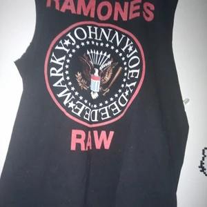 Ramones  - Hörde först Ramones genom shonen knife skit bra😁👍