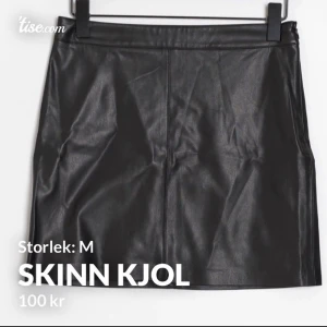 Skinn kjol - Säljer min skinnkjol som är i storlek 40 men skulle säga att den är mer en 38/M Kjolen är köpt på Gina men är helt slutsåld Säljer pga rensar min garderob Den är knappt använd och i super skick Skriv om du har några frågor😊 