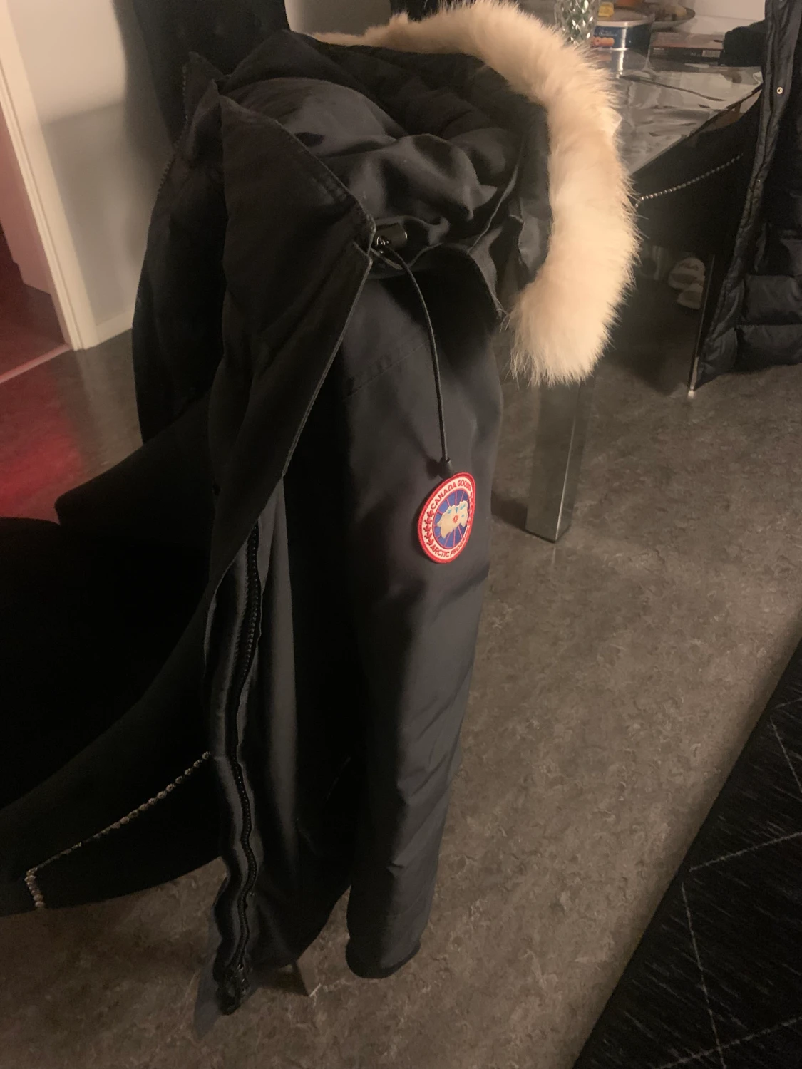 Canada goose - 90