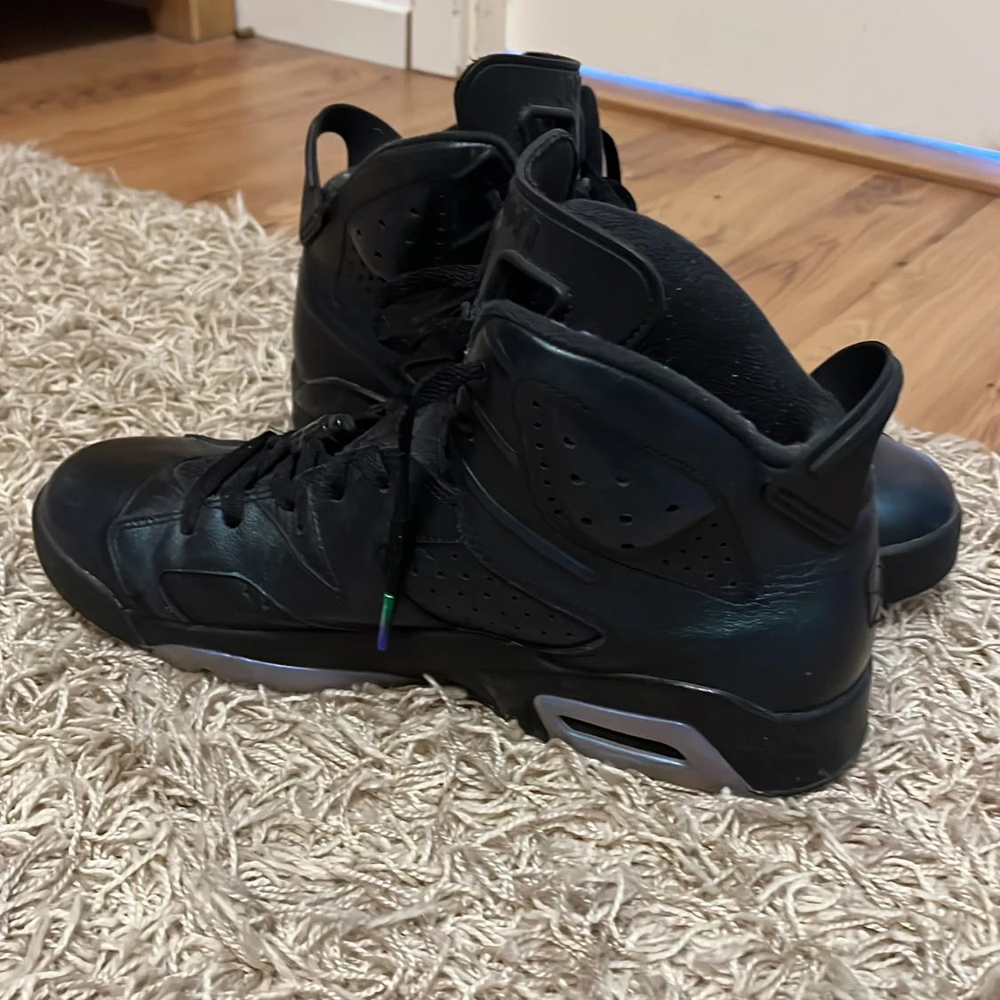 Jordan 6 chameleon strl 45 - 90