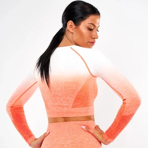 OMBRE TOP - Träningströja från Icaniwill’s ombre kollektion. Stretchig och passar flera strl.  Nyskick!!🔥 Säljer även matchande tights.