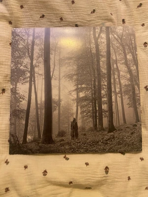 folklore  - Interessekoll på min älskade folklore vinyl!!❤️‍🩹❤️‍🩹 Vinylen är i fint skick & innehåller ”fodral” till skivorna med fina bilder & lyrics till låtarna🤍 hör av er om ni har frågor🤍