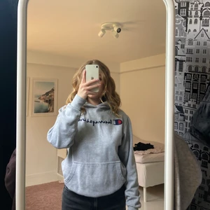 Hoodie - Grå hoodie med champion-tryck (inte äkta)