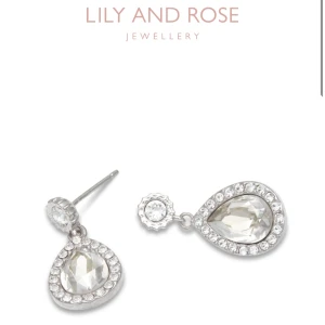 Örhängen  - Bilden är tagen från hemsidan - Örhängen från Lily And Rose - Köpta av någon annan men såg inte ut som jag tänkte mig - Några stenar har ramlat av därav billigare pris, kan gå ännu lägre, ordinarie pris 439 kr - Köparen betalar för frakt - Inga returer