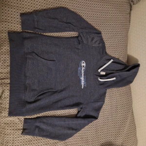 Vintage Champion Hoodie - En äldre blå Champion hoodie i junior Storlek L, men passar som en vanlig S. Skriv i dms för frågor!