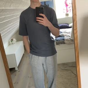 Två t-shirts i grå och beige  - Två t-shirts, färg: mörkgrå och beige, storlek: XS men stor i storleken så är en S i passform, man kan köpa båda för 120 eller en för 80, är i bra skick