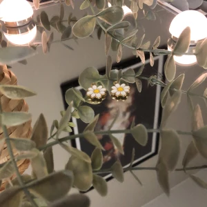 Blommor🫶🏻😍 - Så fina färger🫶🏻😍