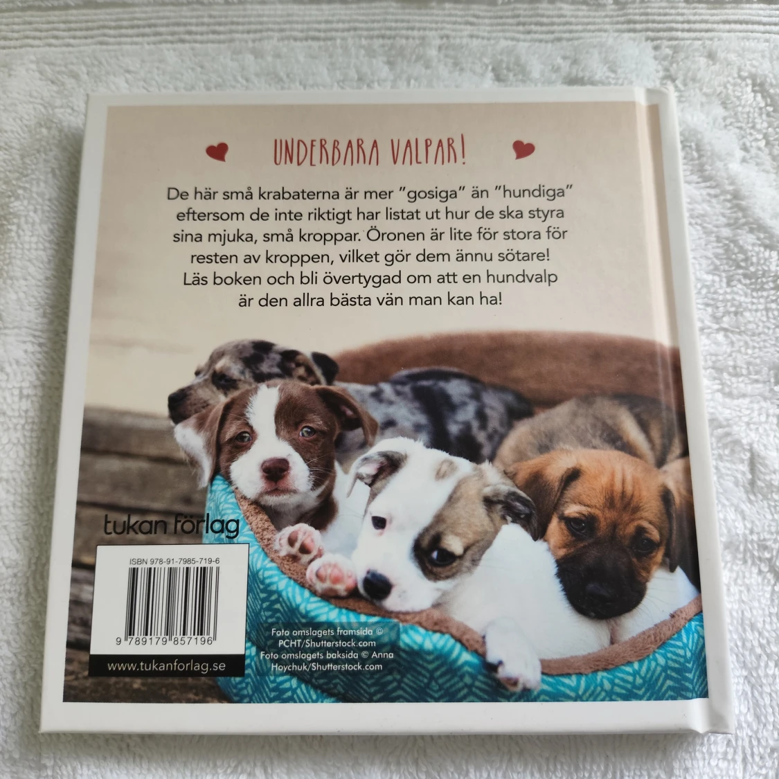 Kärlek är en hundvalp - 1
