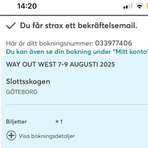 Way Out West 7-9 Augusti 2025 - SLUTSÅLD Festivalbiljett till Way Out West 2025 i Slottsskogen, Göteborg. Charli xcx, yung lean och bladee spelar