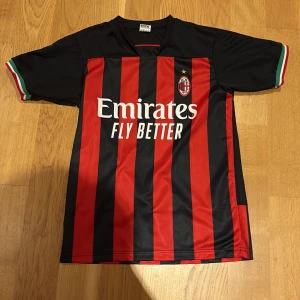 AC Milan R. Leão matchtröja röd/svart - AC Milan fotbollströja med R. Leão och nummer 17 på ryggen. Klassisk röd och svart vertikalrandig design, klubbmärke på bröstet och Emirates Fly Better-tryck. Kortärmad med italienska flaggdetaljer på ärmsluten. Tillverkad i lätt och ventilerande material.