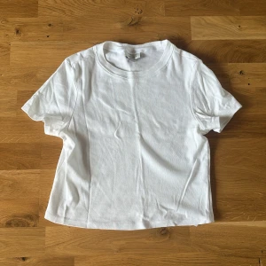 Vit basic t-shirt från Topshop - En klassisk vit kroppad t-shirt från Topshop i mjuk bomull. 