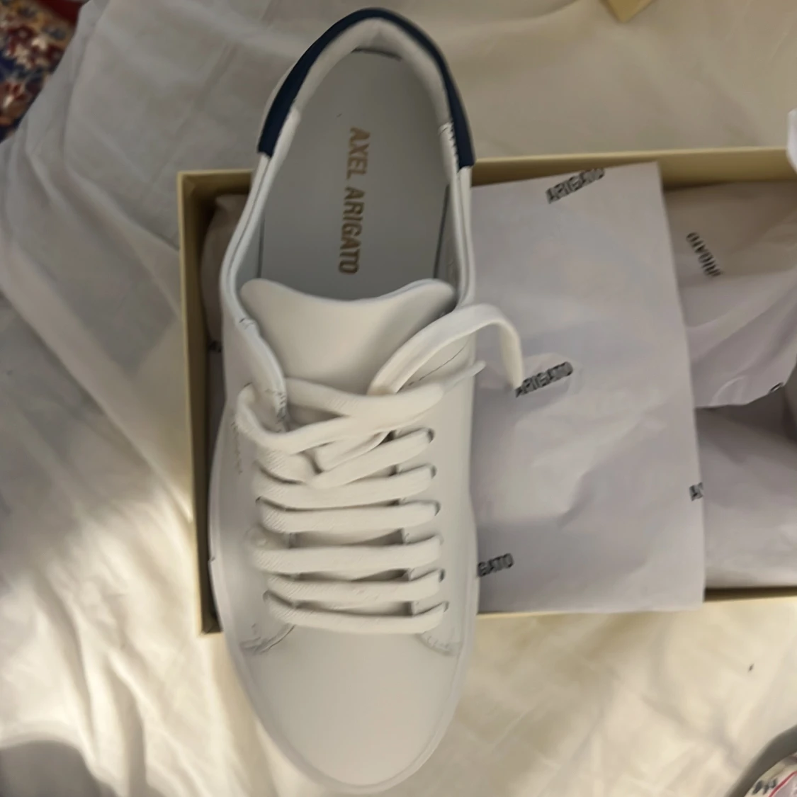 Axel Arigato - vita - 1